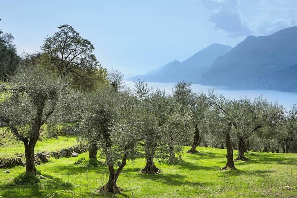 Villa Siresola Malcesine Kültér fotó